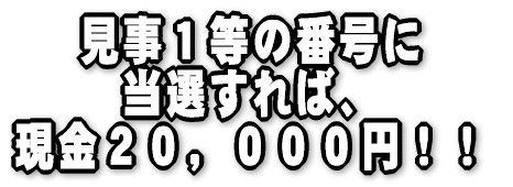 �����P���̔ԍ��� ���I����΁A �����Q�O�C�O�O�O�~�I�I 