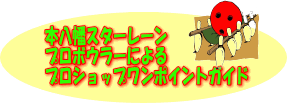 �v���V���b�v�K�C�h