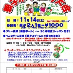 D2D201511