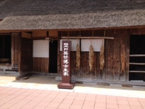 20140704_161809_4.jpg